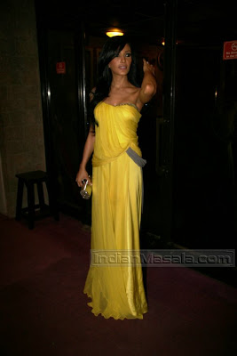 Koena Mitra in Hot yellow Dress gown at I Am She 2010 finals 