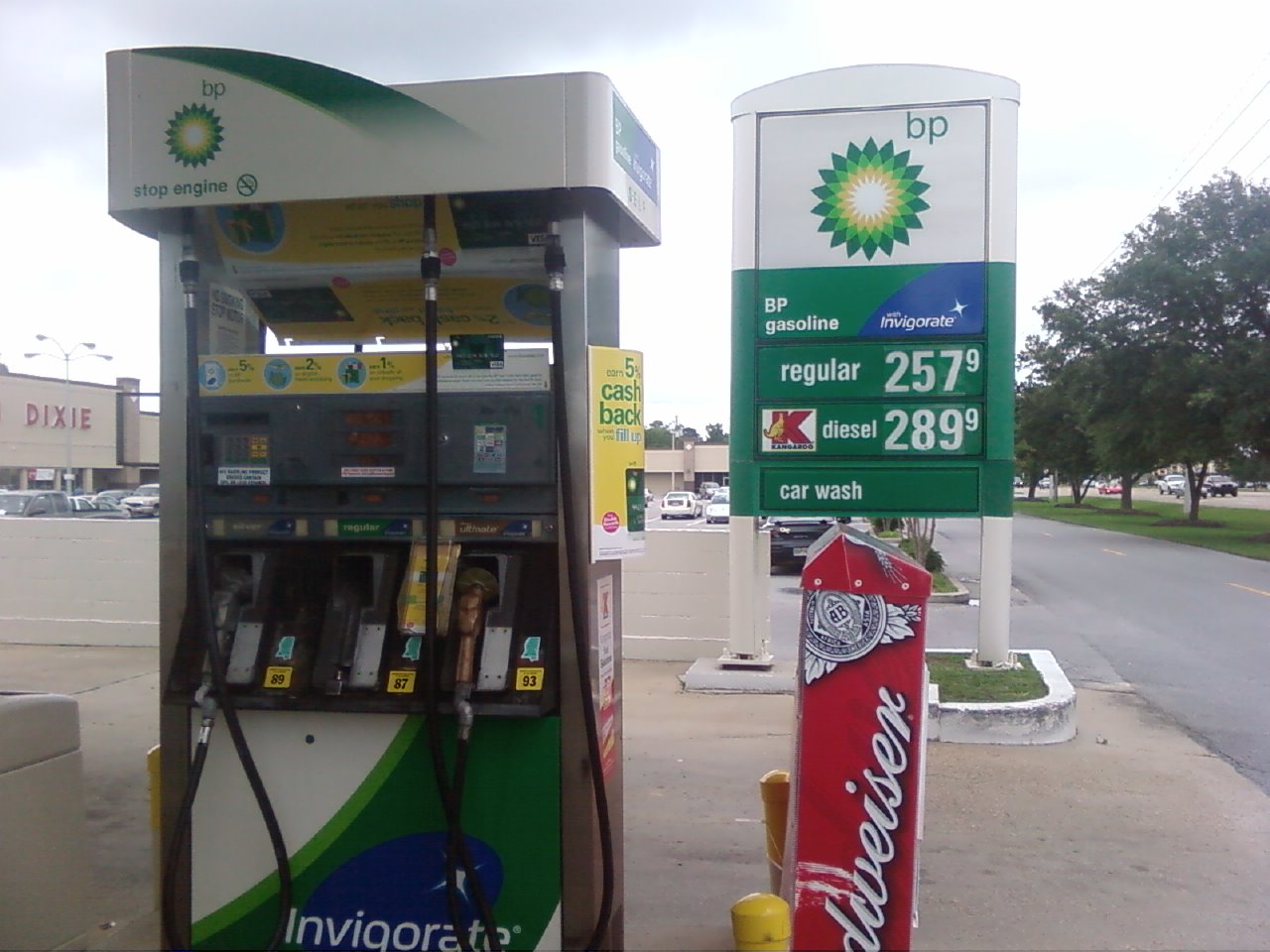 Cottonmouth Blog Archive