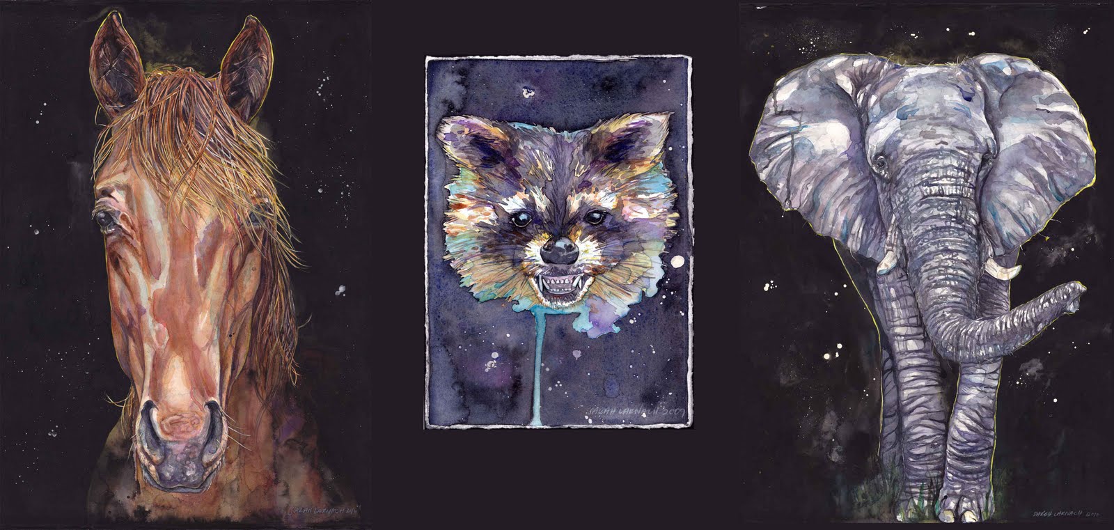 space raccoon