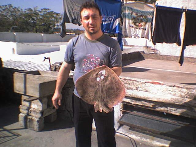 Javier Abejase ¡ Qué dia de pesca hermosa en la Escollera.!