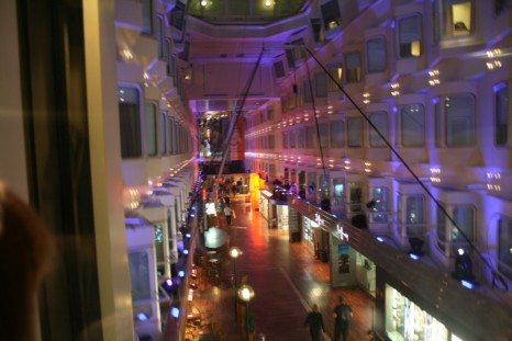 [IMG_9365.JPG]