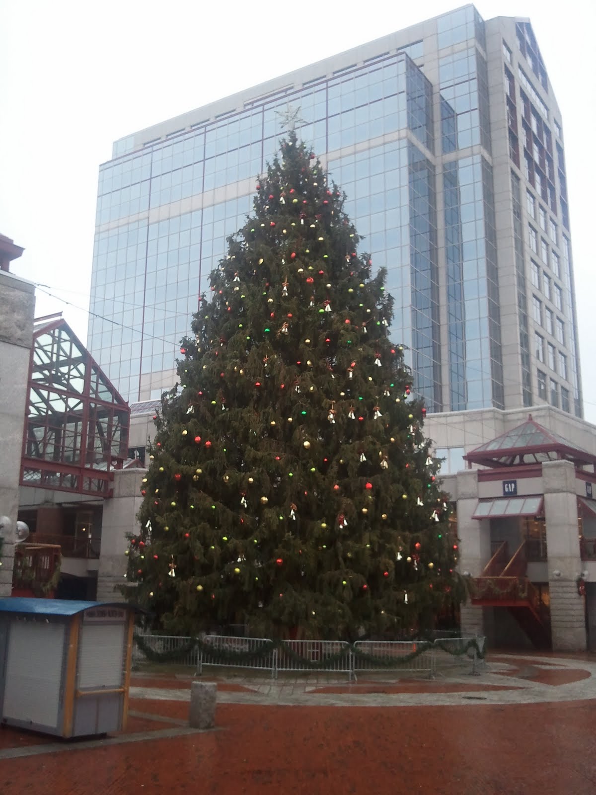 enthusiastic noise the christmas tree at faneuil hall enthusiastic noise the christmas tree at faneuil hall