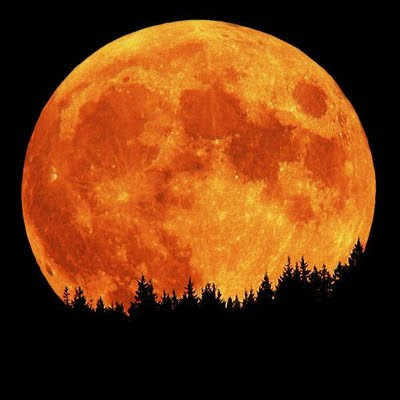 Cool Nature Scenes – Amazing images of nature scenes. Cool Nature Scenes – Amazing