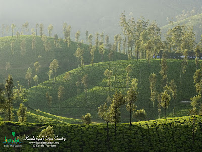 கேரளாவின்  அழகிய படங்கள்.. Kerala-Nature+%283%29