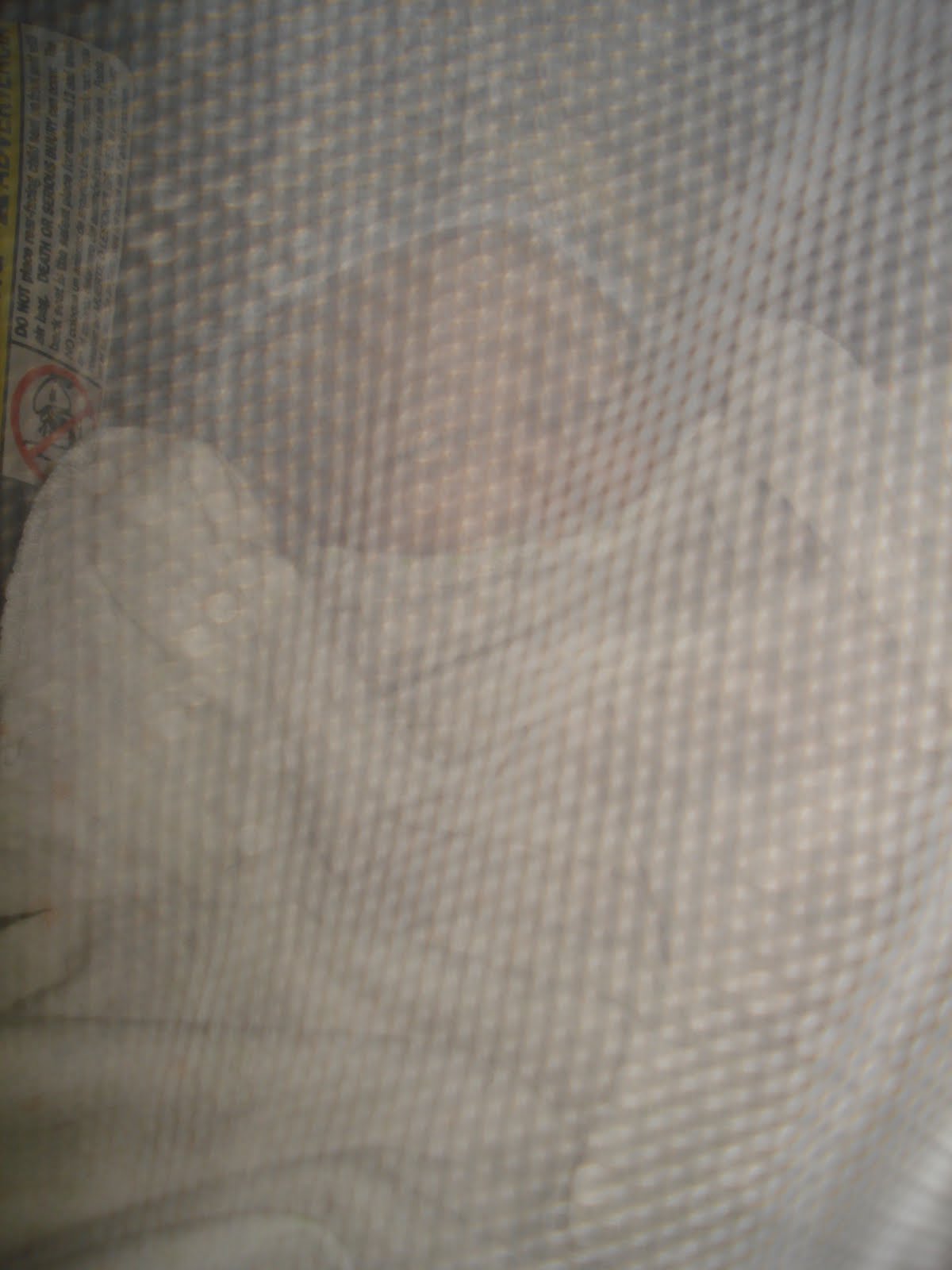 [DSC00110.JPG]