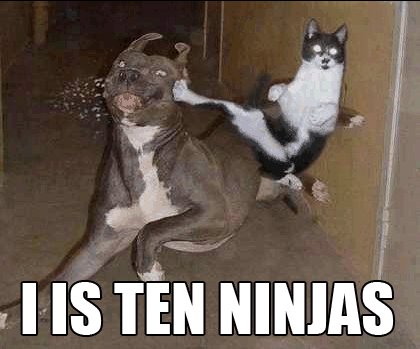 i+is+ten+ninjas.jpg