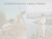 Sobrevivencia Indigena en  Boriken