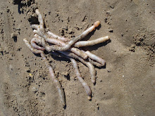 Double Your Catch That You Won't Believe!!