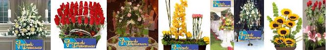Flores