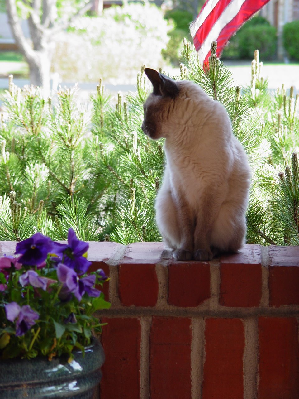 [DSC07891.JPG]