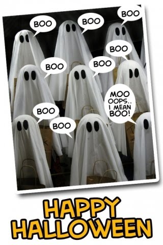 [IMG_0495.JPG]