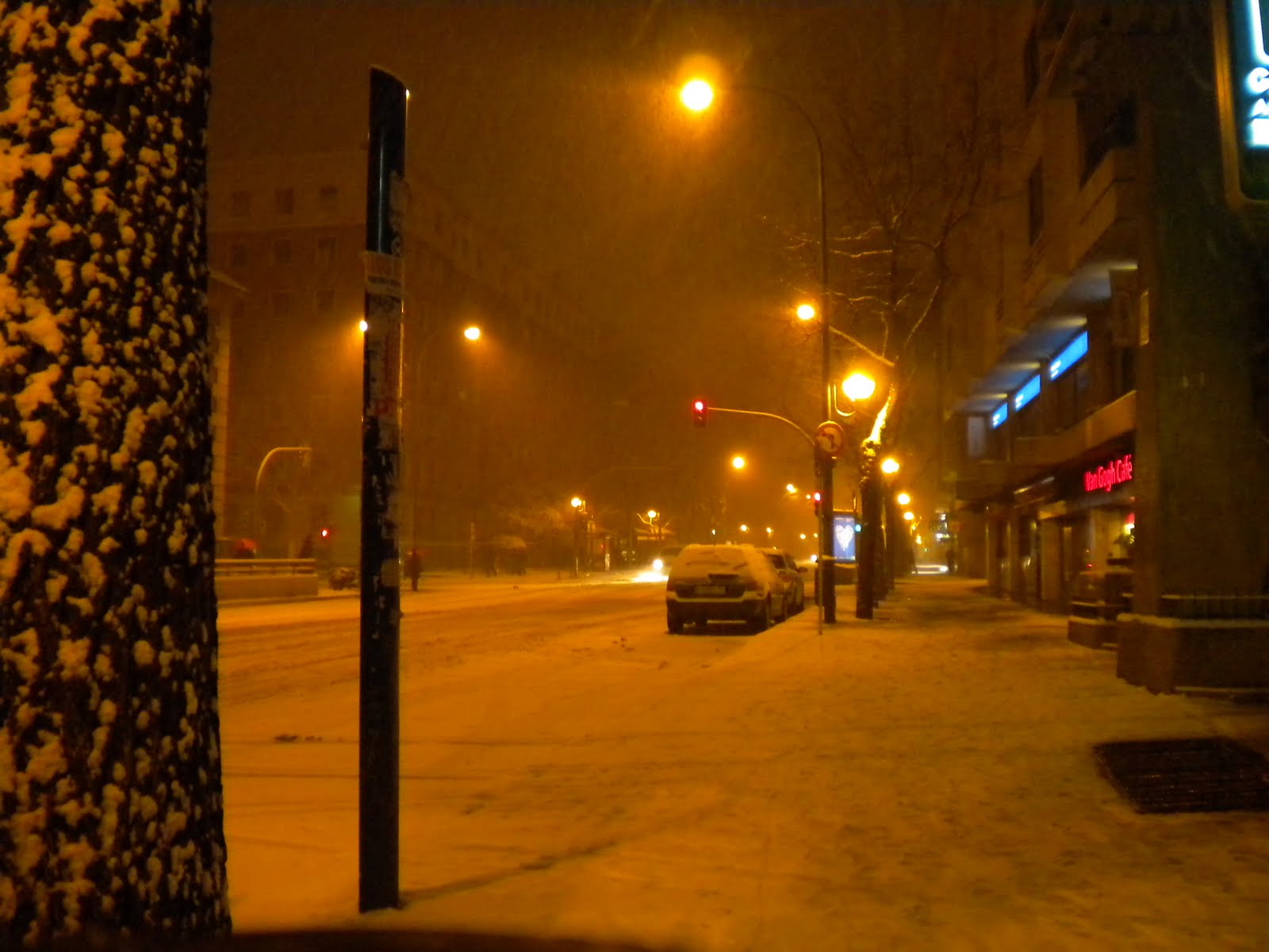 [100112_030alffoto.JPG]