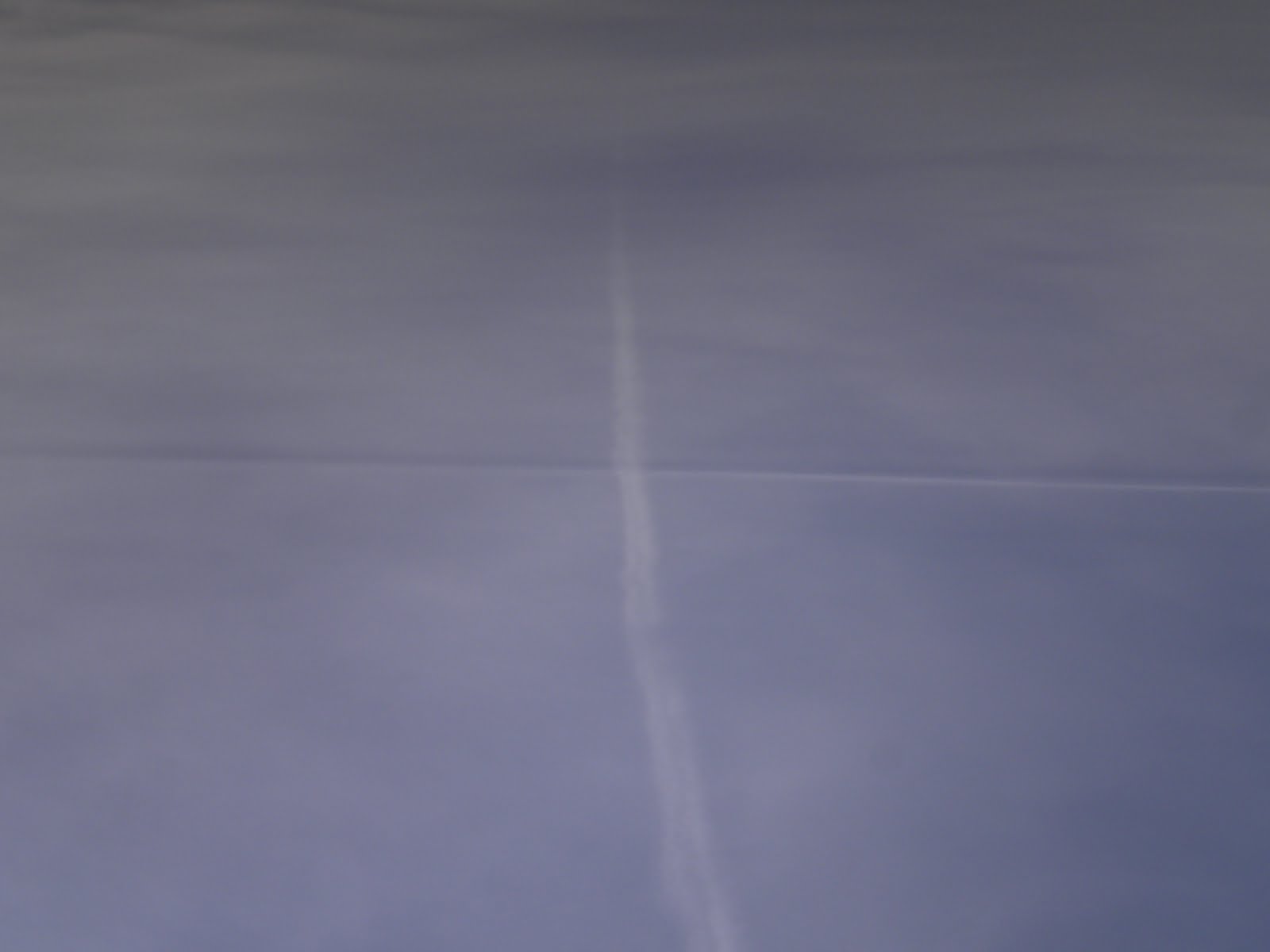 [100112_029alffoto.JPG]