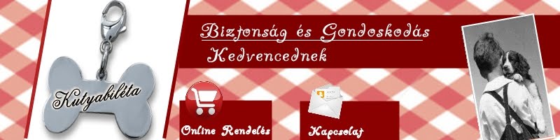 Kutyabiléta - Biztonság kis kedvencednek