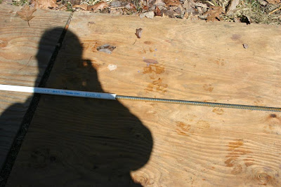 Rebar Greenhouse