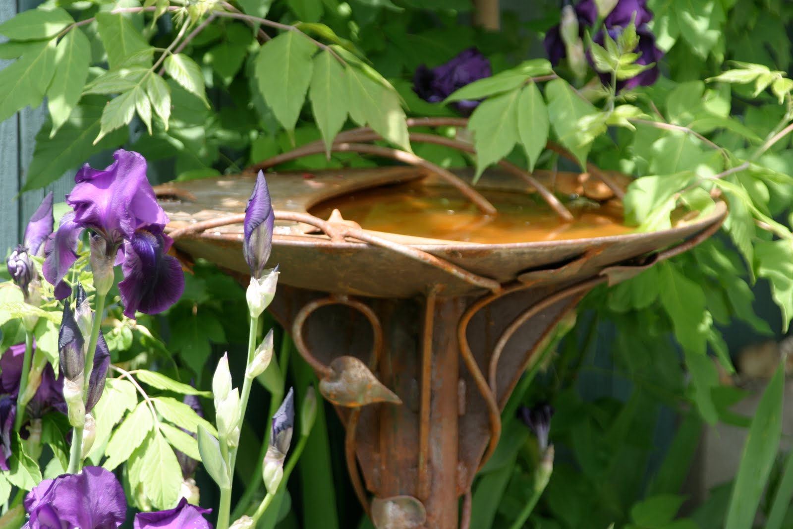 Geoff Sandhurst, Artist, Calgary, Alberta Bird Bath, Salmon, T Rex