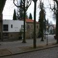 [c.c.freamunde.jpg]