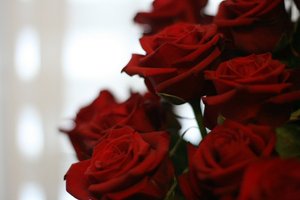 [Rosas_by_dias_uteis.jpg]