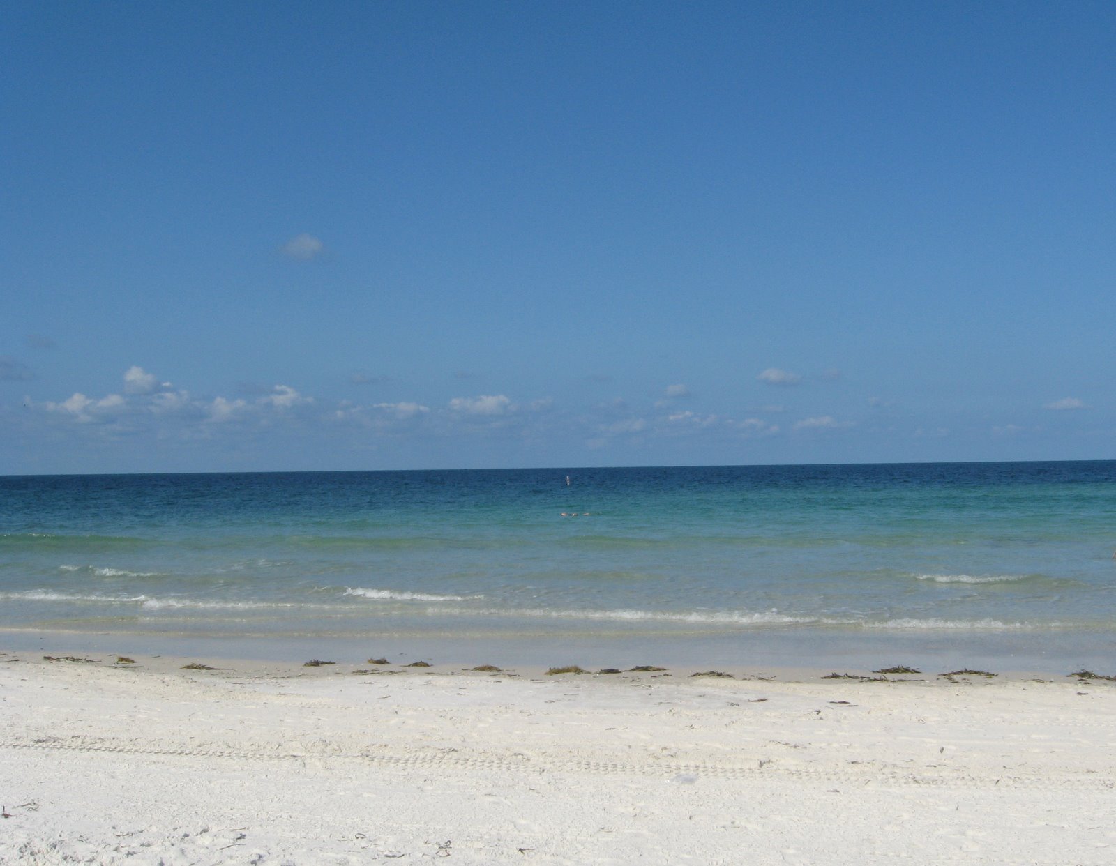 [IMG_1006.JPG]
