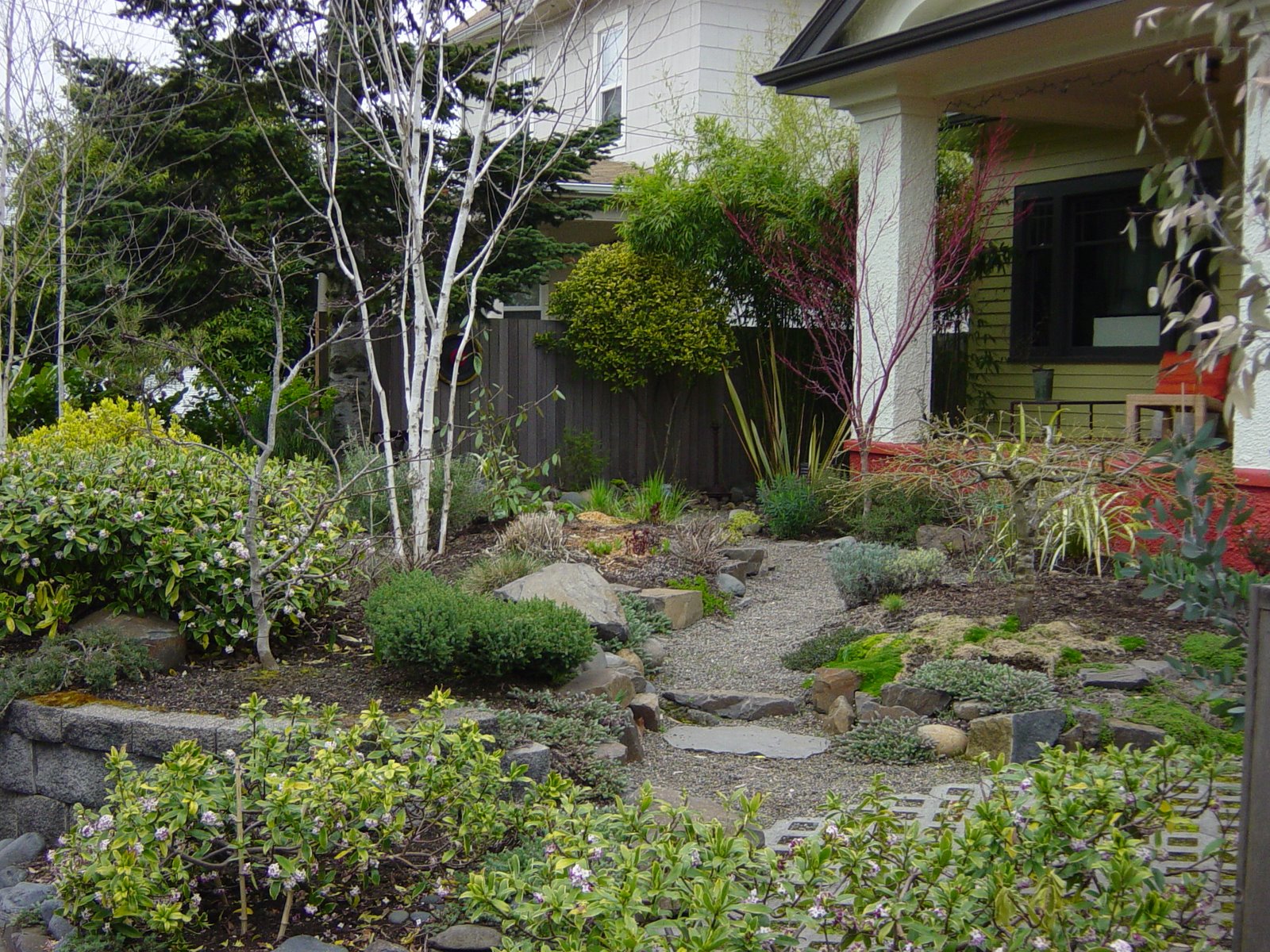 [freedom,+daphne+027.JPG]