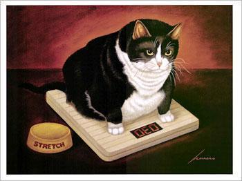 [cat36.jpg]