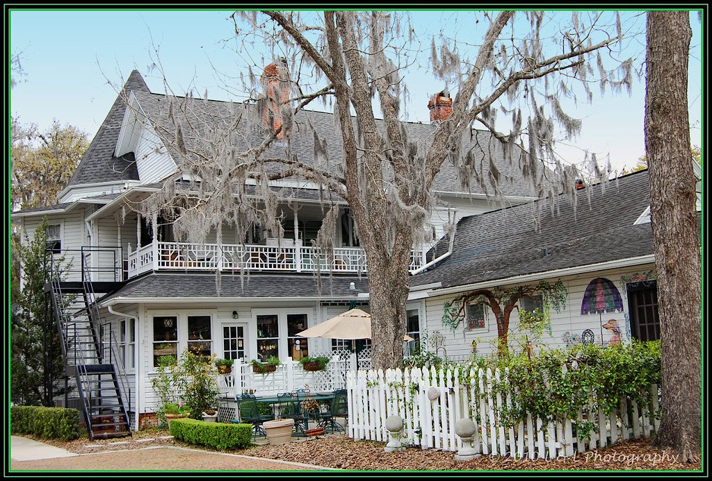 Veranda Gallery And Tea Room Ocala Veranda Gallery And Tea Room Ocala