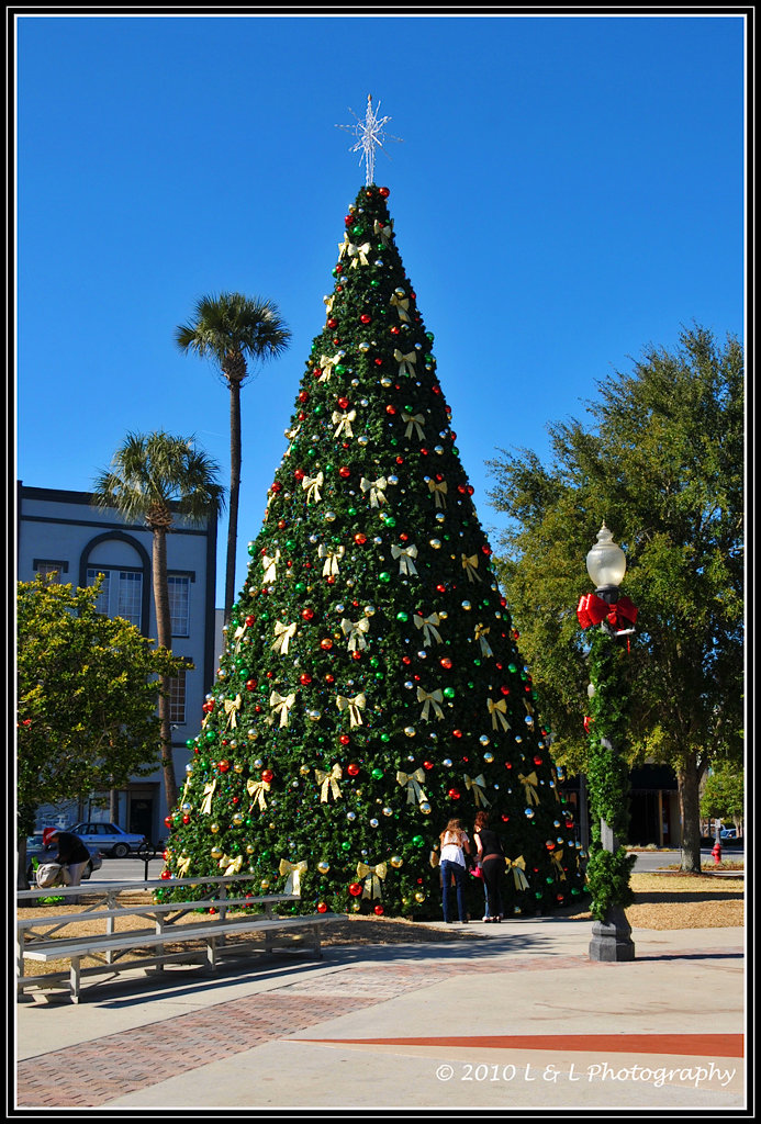 Ocala, Central Florida & Beyond Christmas in downtown Ocala (a bonus post)