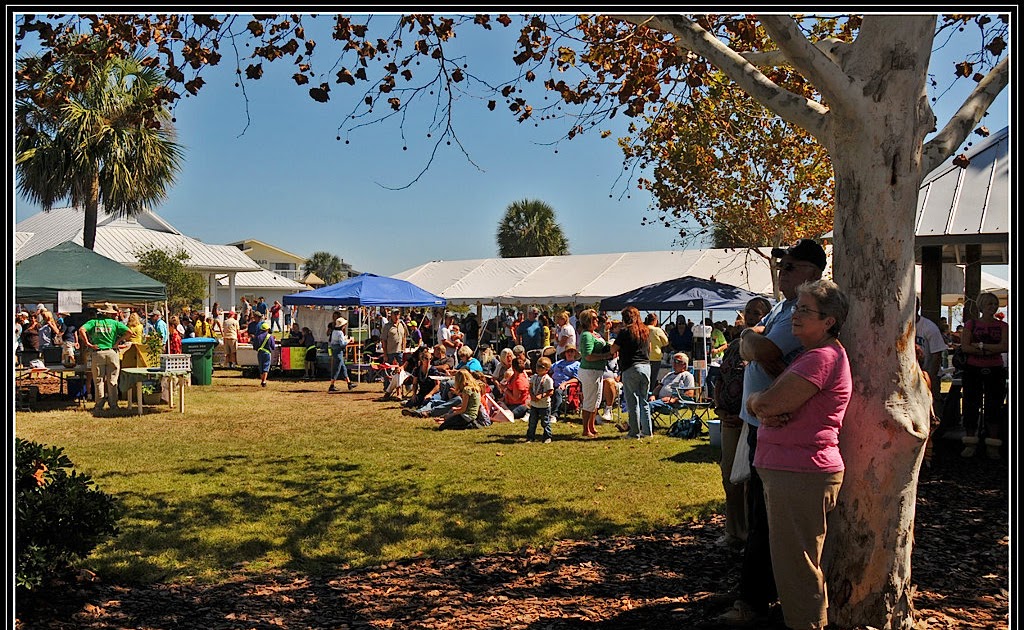 Cedar Key (Florida) Photos Here's where you see all the sea food at