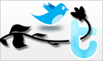 Siga-nos no TWITTER