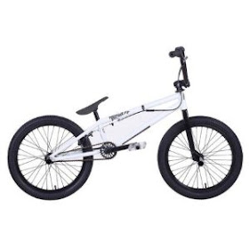 eastern night prowler