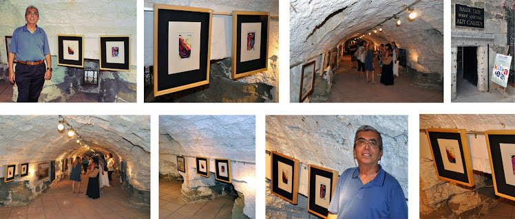 BODRUM ART HALUK ELBE