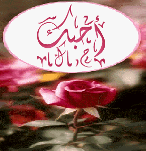 رجعٍَِت الٍَِى كلٍَِ جديٍَِدي وبــٍَِ