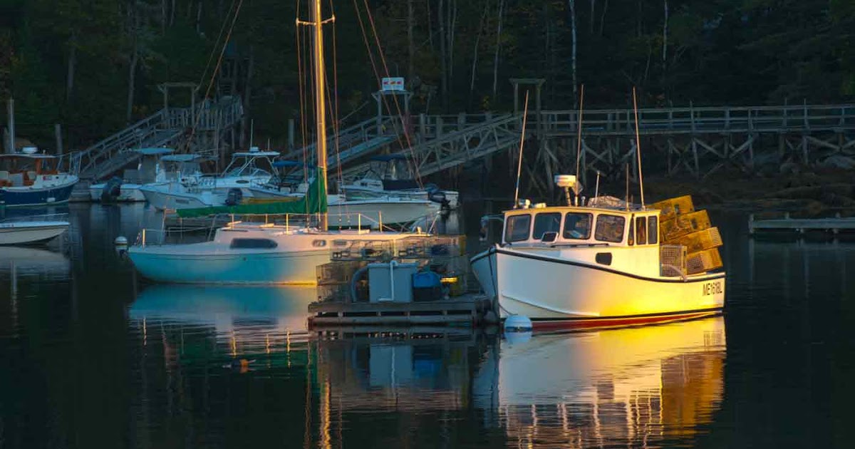Voyages>`·.¸¸.·´¯`·...¸> : Jon Gelman Photography: Maine Lobster