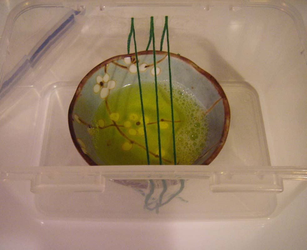 MeganEilise Oxidizing Copper with Ammonia