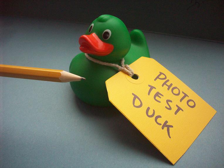 [test+duck.JPG]
