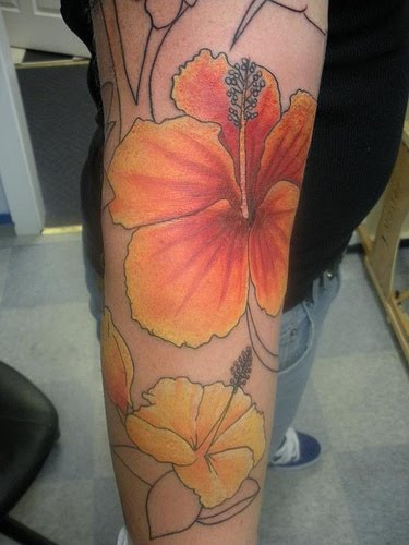 Hibiscus Flower Tattoos Pictures