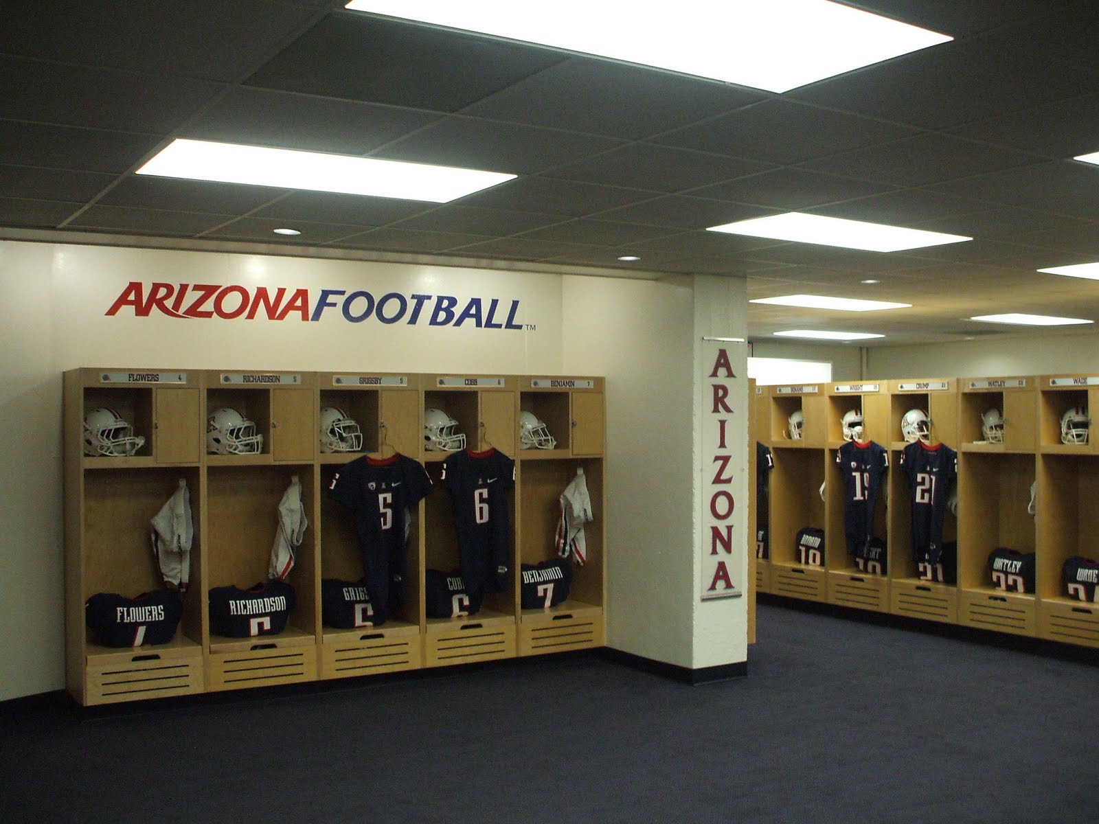 ARIZONA WILDCAT EQUIPMENT Wildcats Tame the Bulldogs