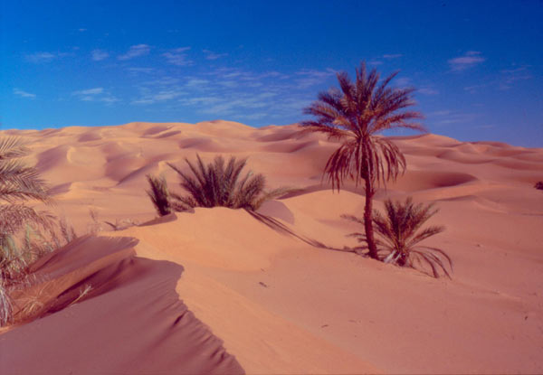 [Libia.jpg]