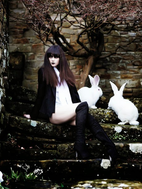 [mad-hatter-rabbits_94771a.jpg]