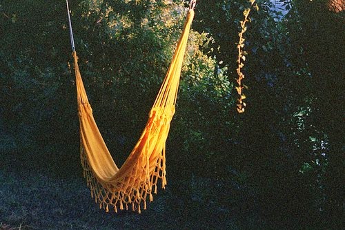 [hammock.jpg]