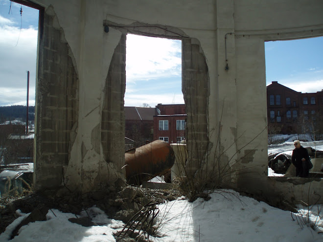 Danuta at scene of crime, view towards vestfossen kunstlaboratorium