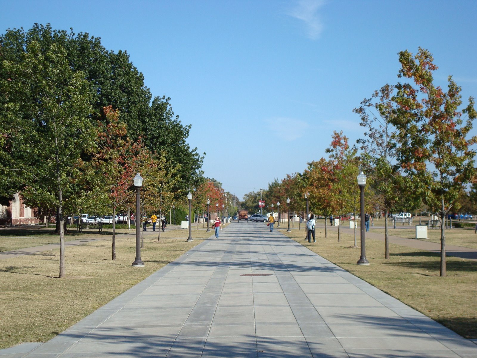 [DSC00084.JPG]