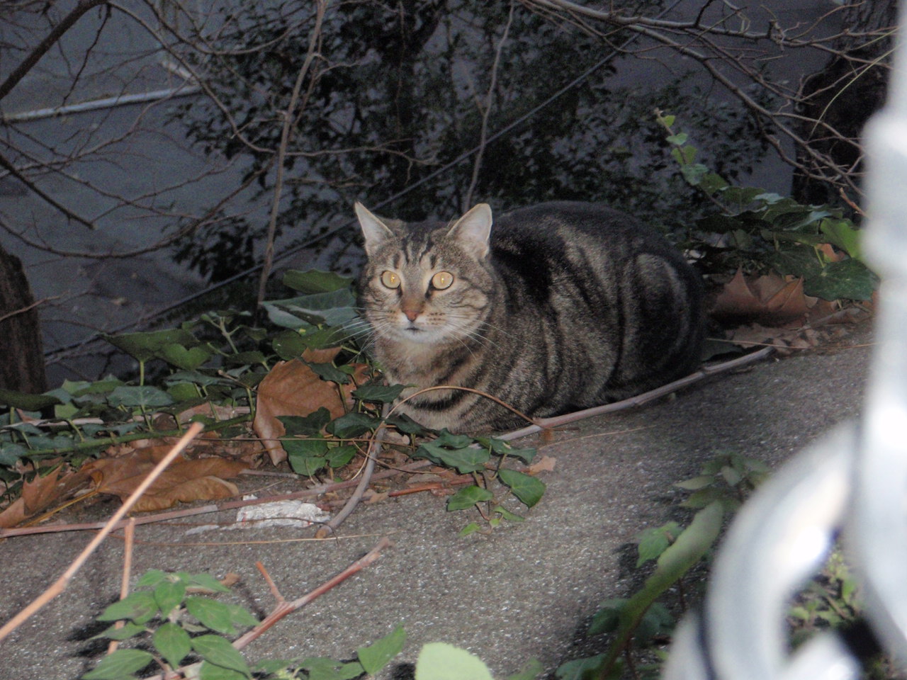 [PC301605.JPG]