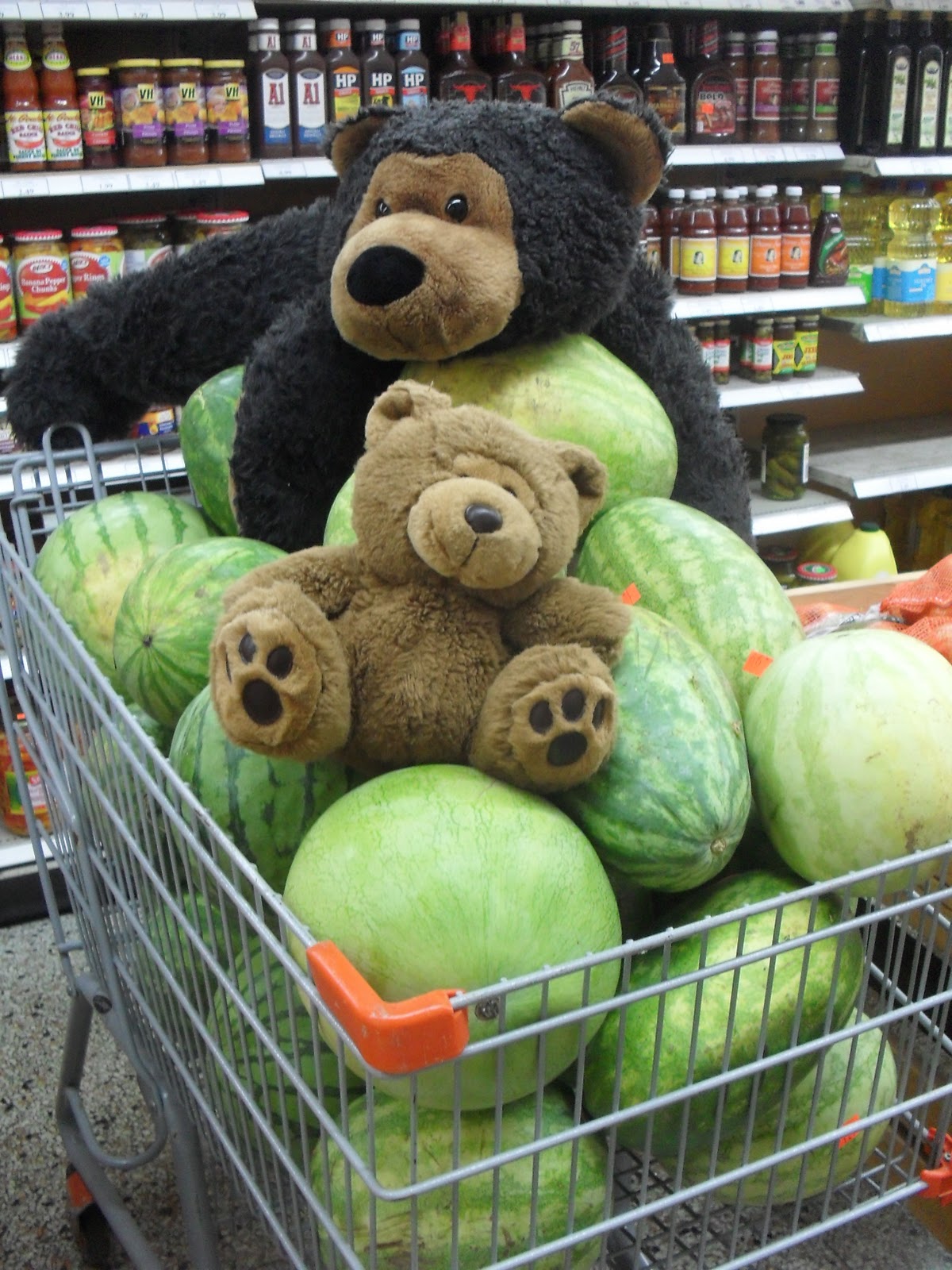 Adventures of Charles the Bear Cub Olde Sandwich Towne, Windsor, ON
