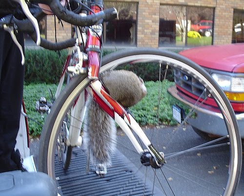 [76039319_f5e81e4f93.jpg]