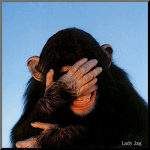 I AM FED UP WITH DARWIN..