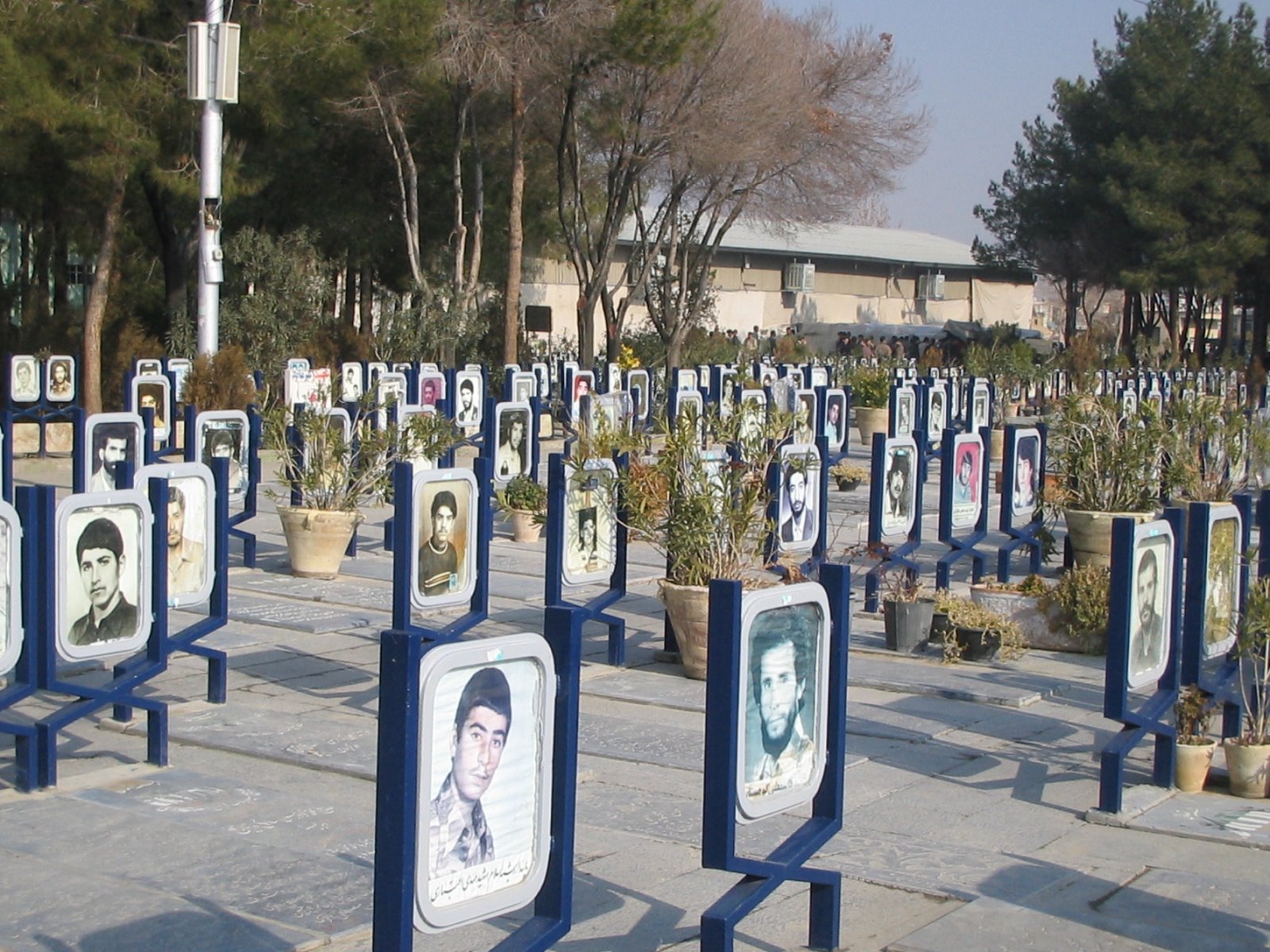 [kamin+graves+3.jpg]