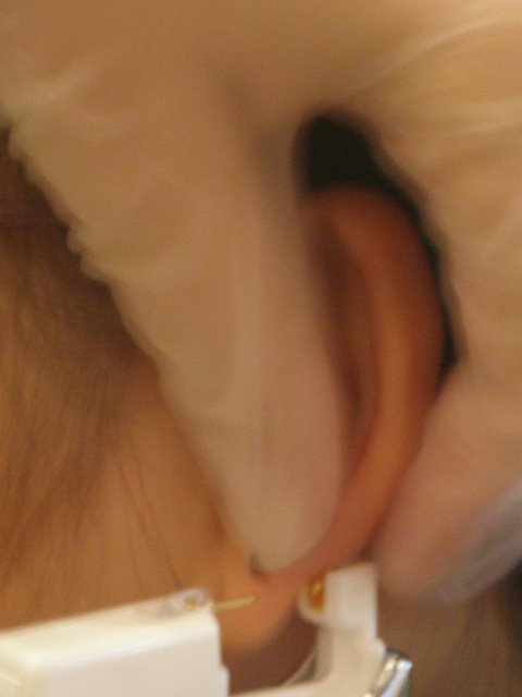 [P6213629.JPG]