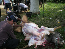 Idul Qurban 2007