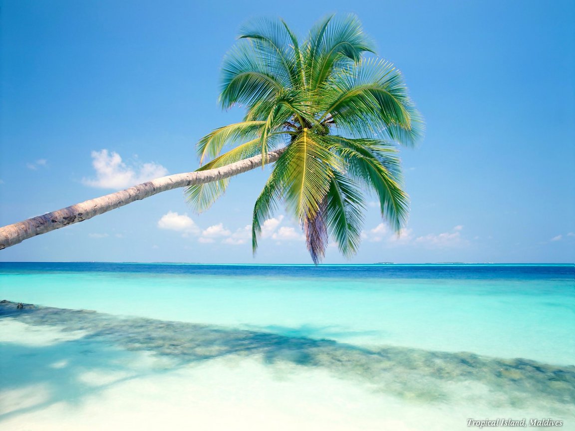 Caribbean holidays made cheap!